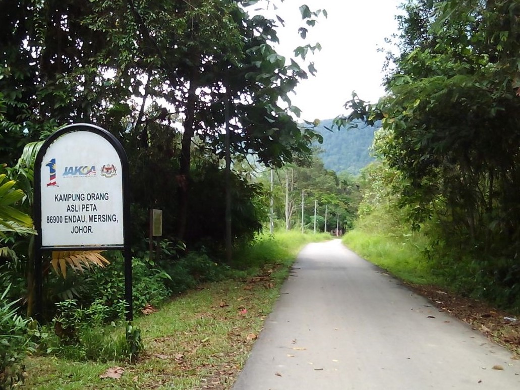 The road into Kampung Orang Asli Peta, with the village sign beside it.