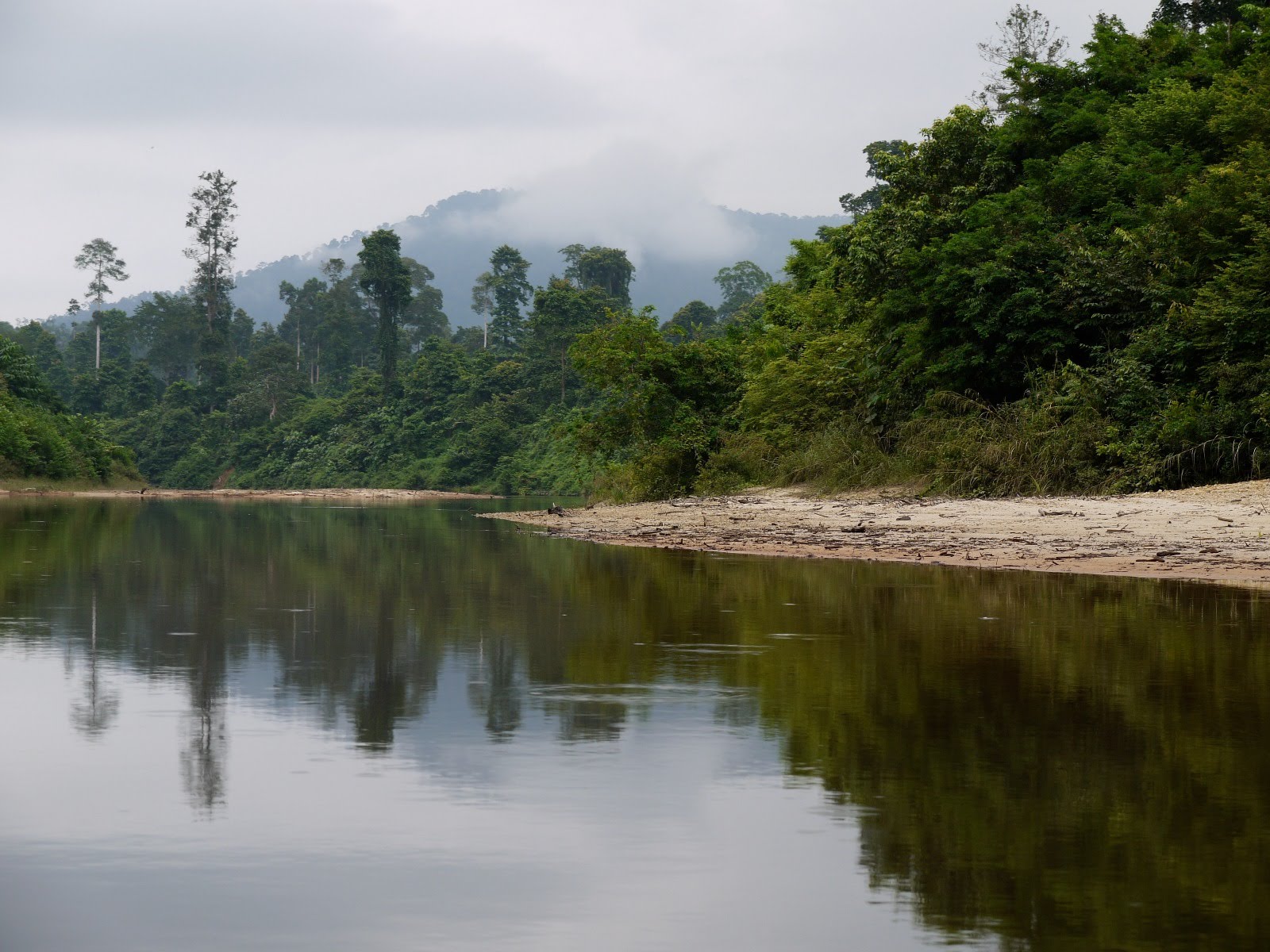 Sungai Endau at Kampung Peta, with a sandy bank and mist over forested hills.