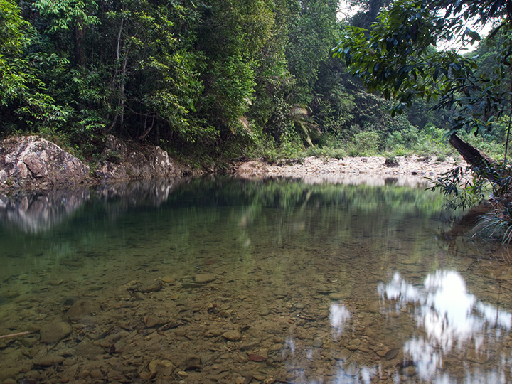 Clear water reveals the stony bed of Tasik Air Biru, surrounded by rainforest at Endau-Rompin Peta.